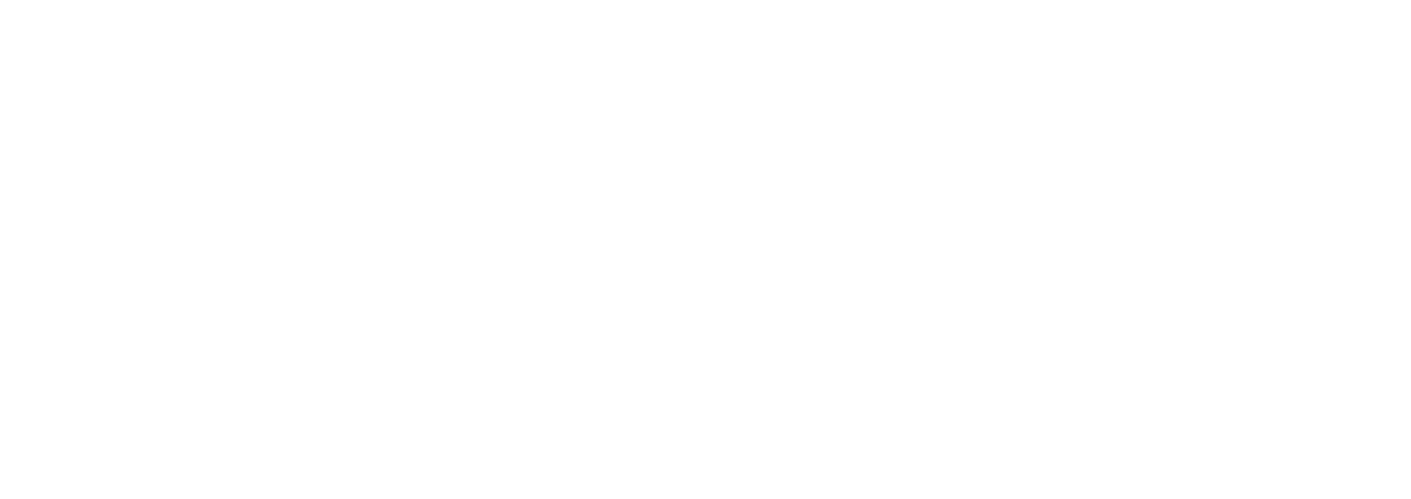 flexy-content-high-resolution-logo-white-transparent